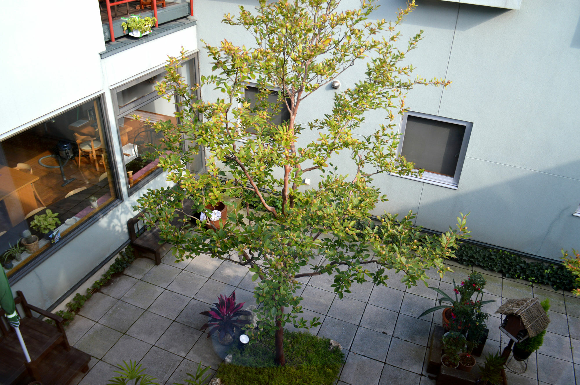 B&B Pension Hakodate-Mura Екстер'єр фото